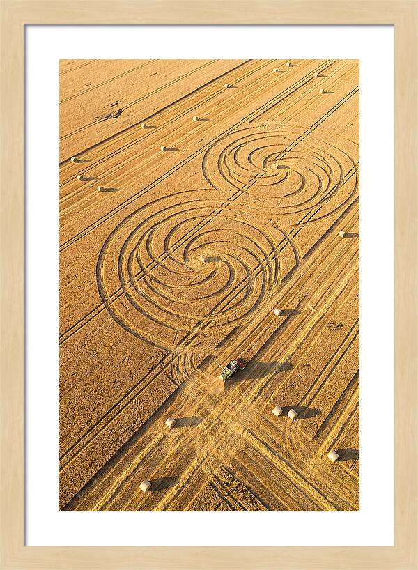 Aerial Wheat Harvest Patterns