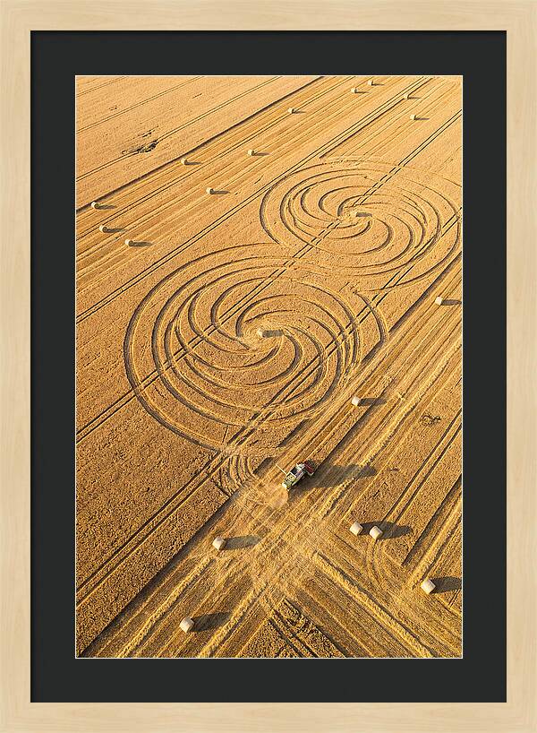 Aerial Wheat Harvest Patterns