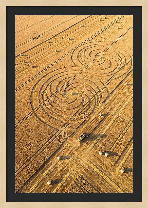 Aerial Wheat Harvest Patterns