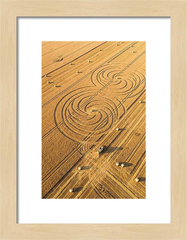Aerial Wheat Harvest Patterns