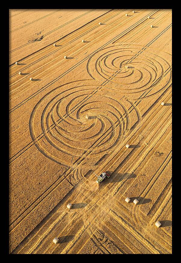 Aerial Wheat Harvest Patterns