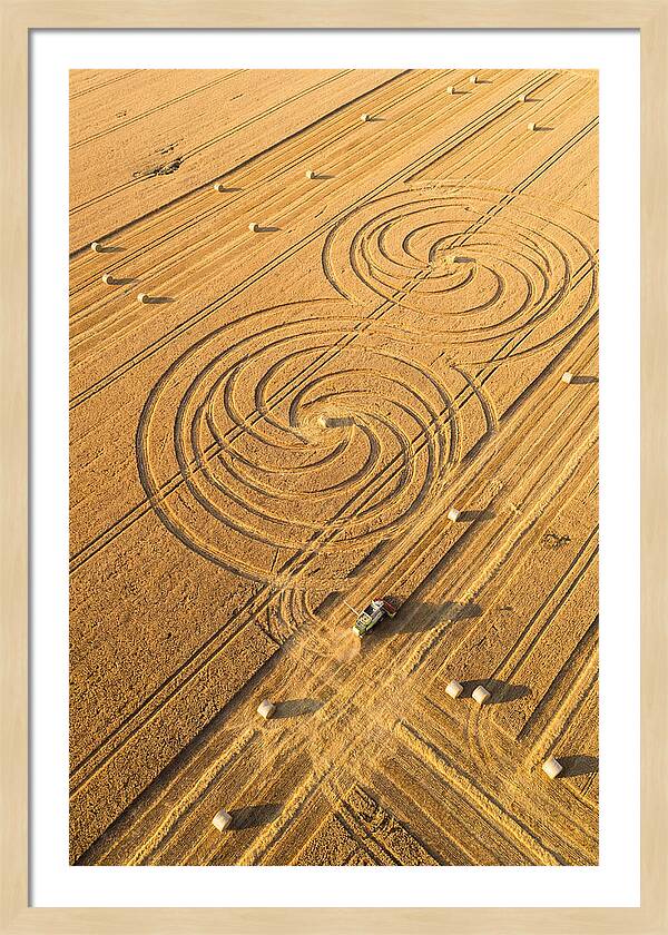 Aerial Wheat Harvest Patterns