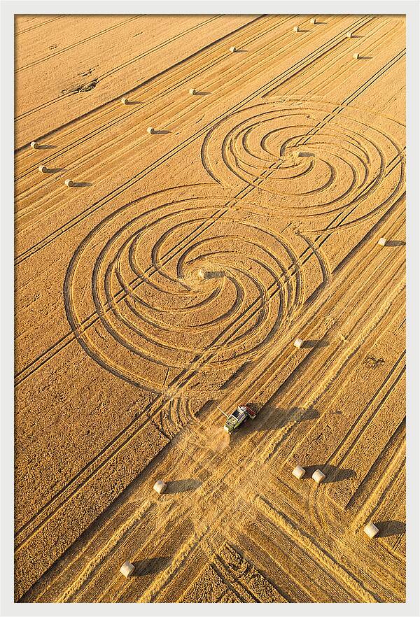 Aerial Wheat Harvest Patterns