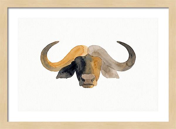 African Buffalo Portrait