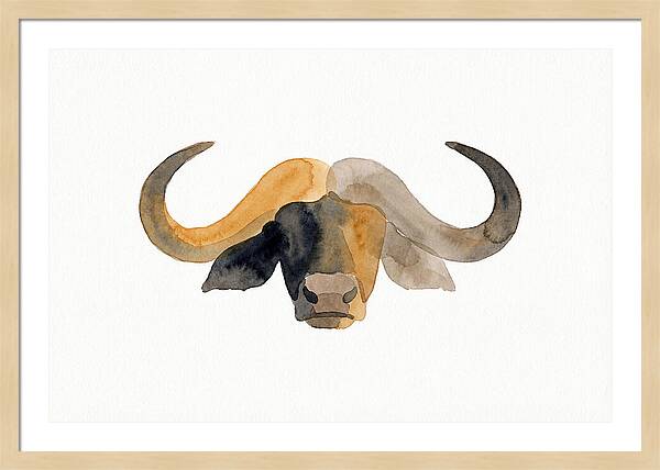 African Buffalo Portrait