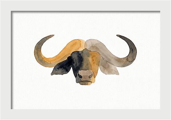 African Buffalo Portrait