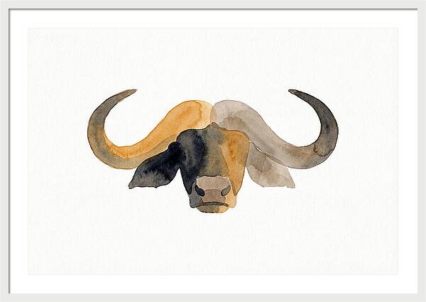 African Buffalo Portrait