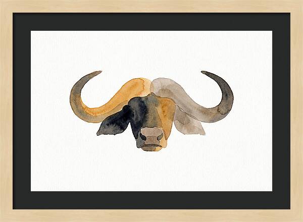 African Buffalo Portrait