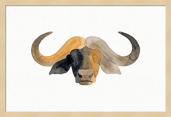 African Buffalo Portrait