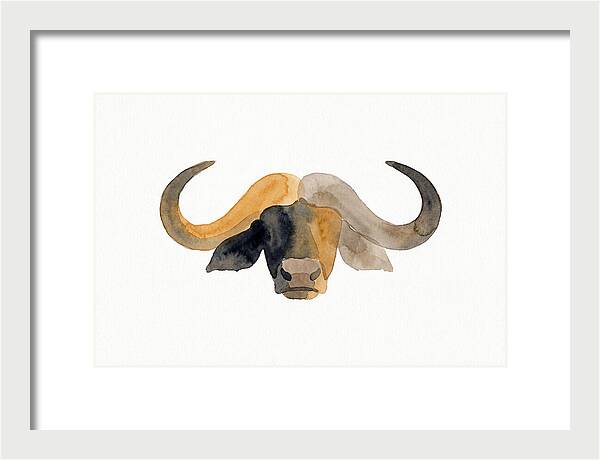 African Buffalo Portrait
