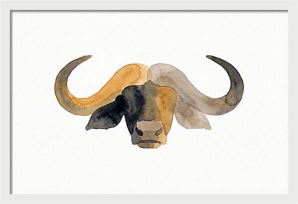 African Buffalo Portrait