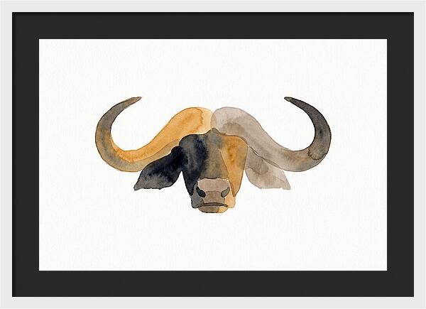 African Buffalo Portrait