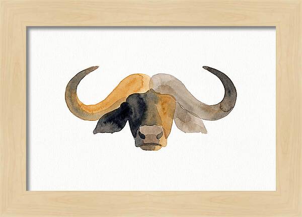 African Buffalo Portrait