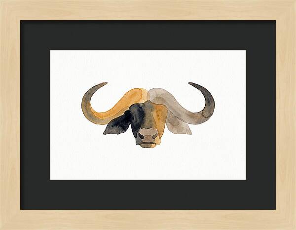 African Buffalo Portrait