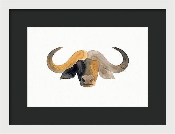 African Buffalo Portrait