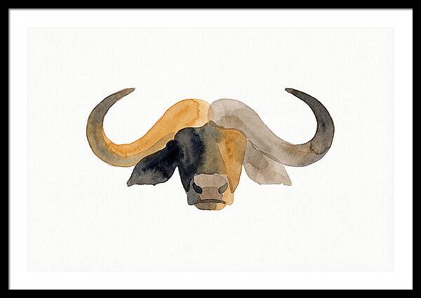 African Buffalo Portrait