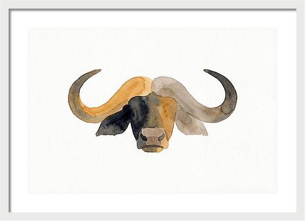 African Buffalo Portrait