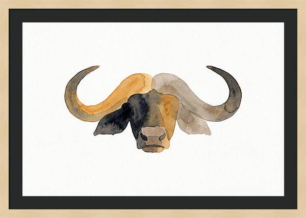 African Buffalo Portrait