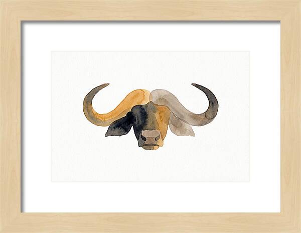 African Buffalo Portrait