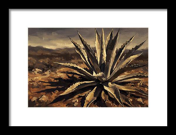 Agave Plant Majesty
