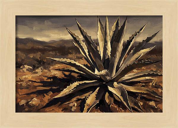 Agave Plant Majesty