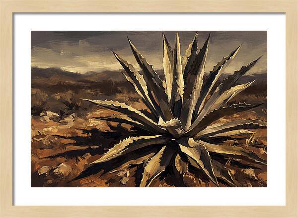 Agave Plant Majesty