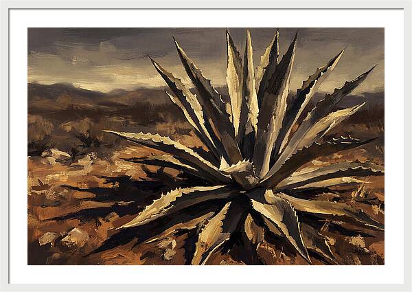 Agave Plant Majesty