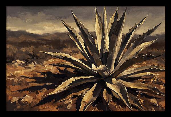 Agave Plant Majesty