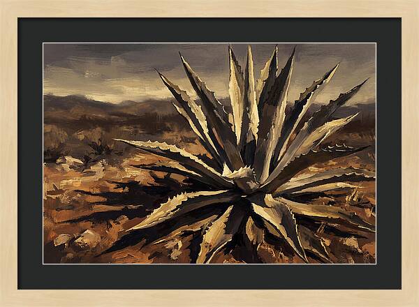 Agave Plant Majesty