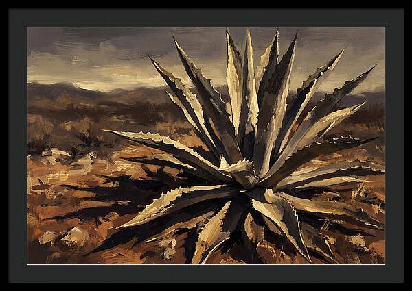 Agave Plant Majesty