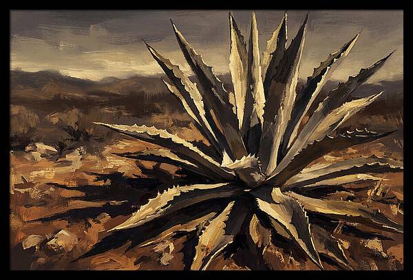 Agave Plant Majesty