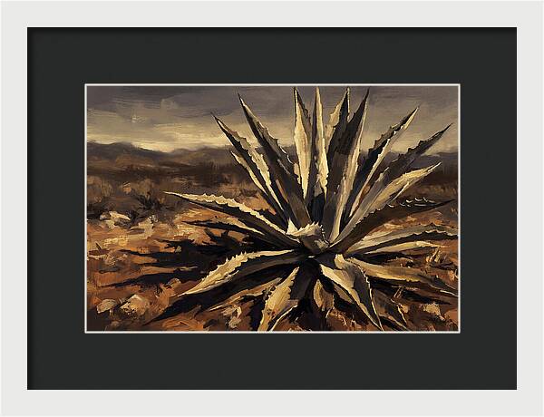 Agave Plant Majesty