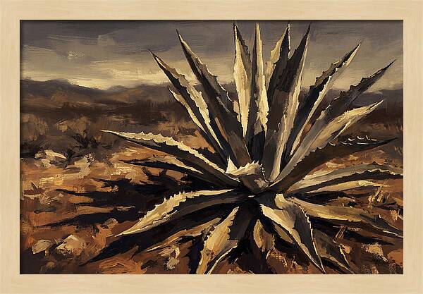 Agave Plant Majesty