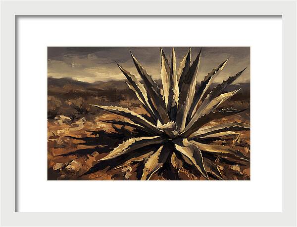 Agave Plant Majesty