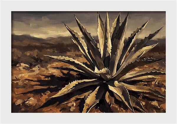 Agave Plant Majesty