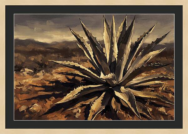 Agave Plant Majesty