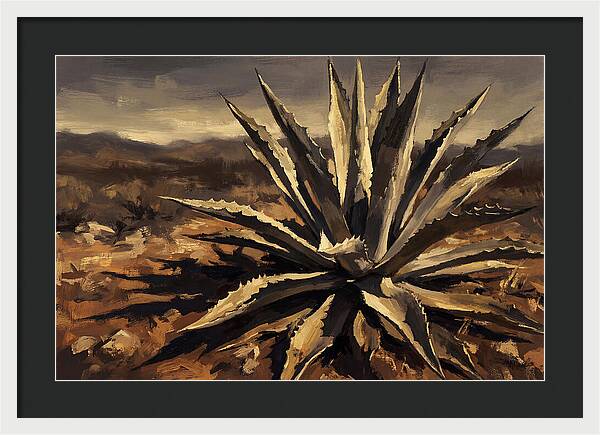 Agave Plant Majesty