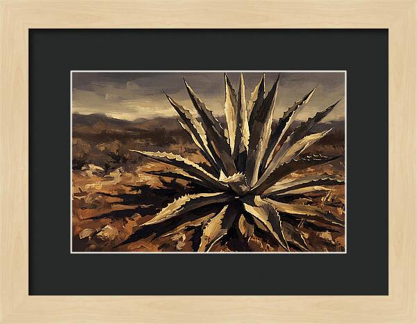 Agave Plant Majesty