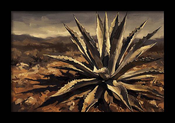 Agave Plant Majesty