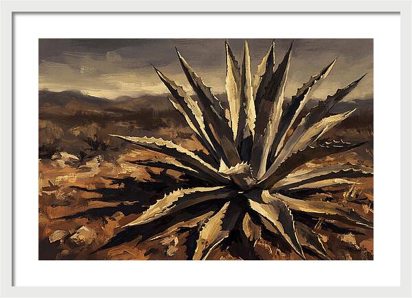 Agave Plant Majesty