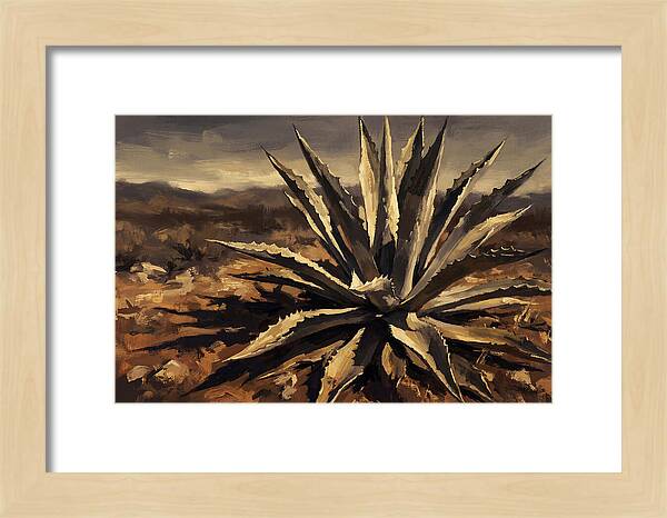 Agave Plant Majesty