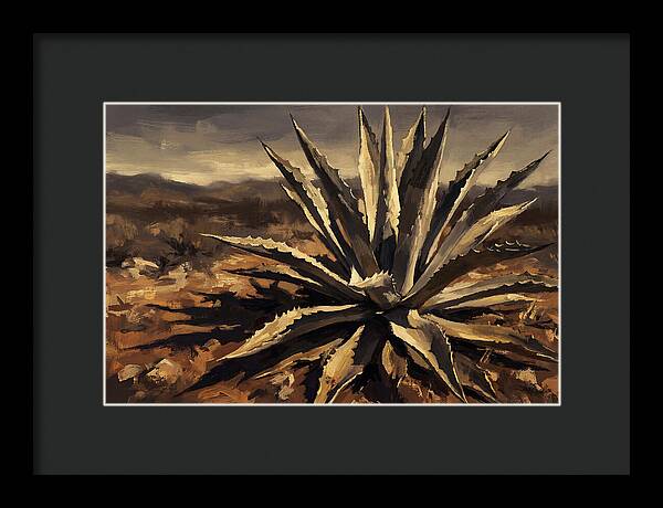 Agave Plant Majesty