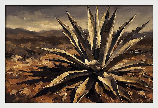 Agave Plant Majesty