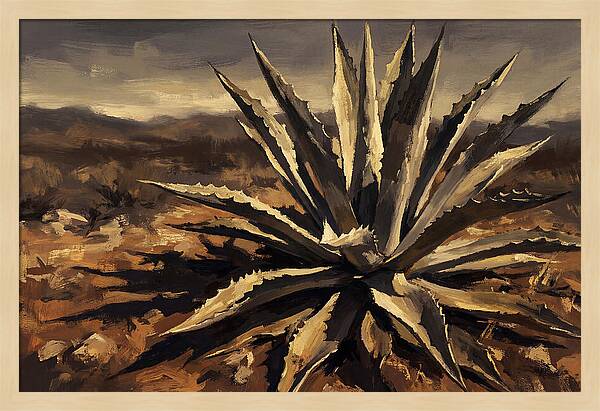 Agave Plant Majesty