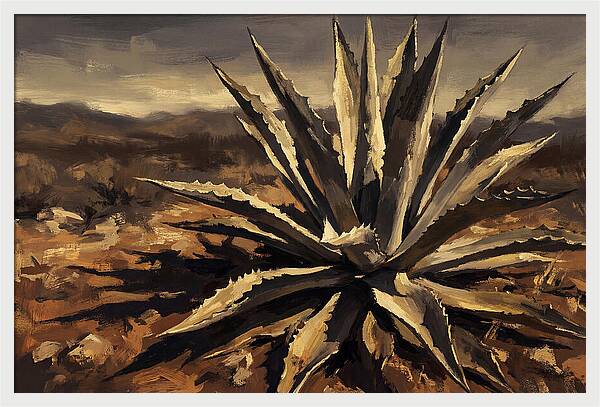 Agave Plant Majesty