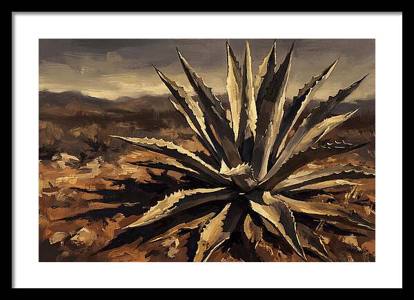 Agave Plant Majesty