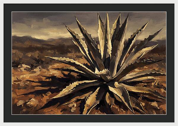 Agave Plant Majesty