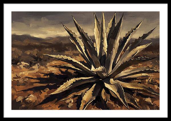 Agave Plant Majesty