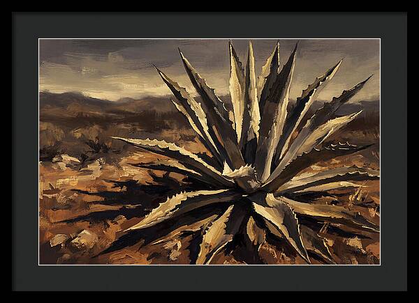 Agave Plant Majesty