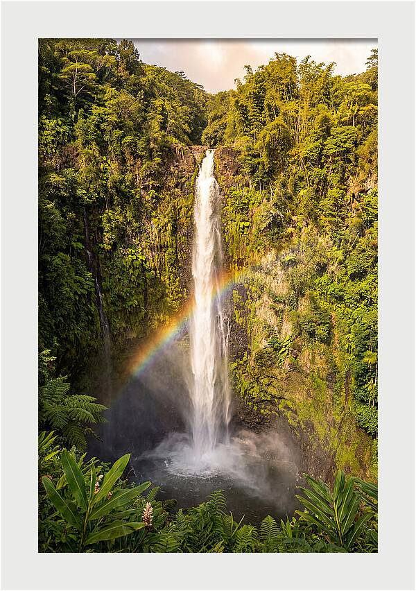 Akaka Falls At Golden Hour
